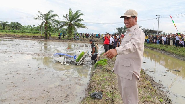 Pemerintah terus menggencarkan program swasembada pangan sebagai upaya strategis untuk meningkatkan ketahanan pangan nasional.