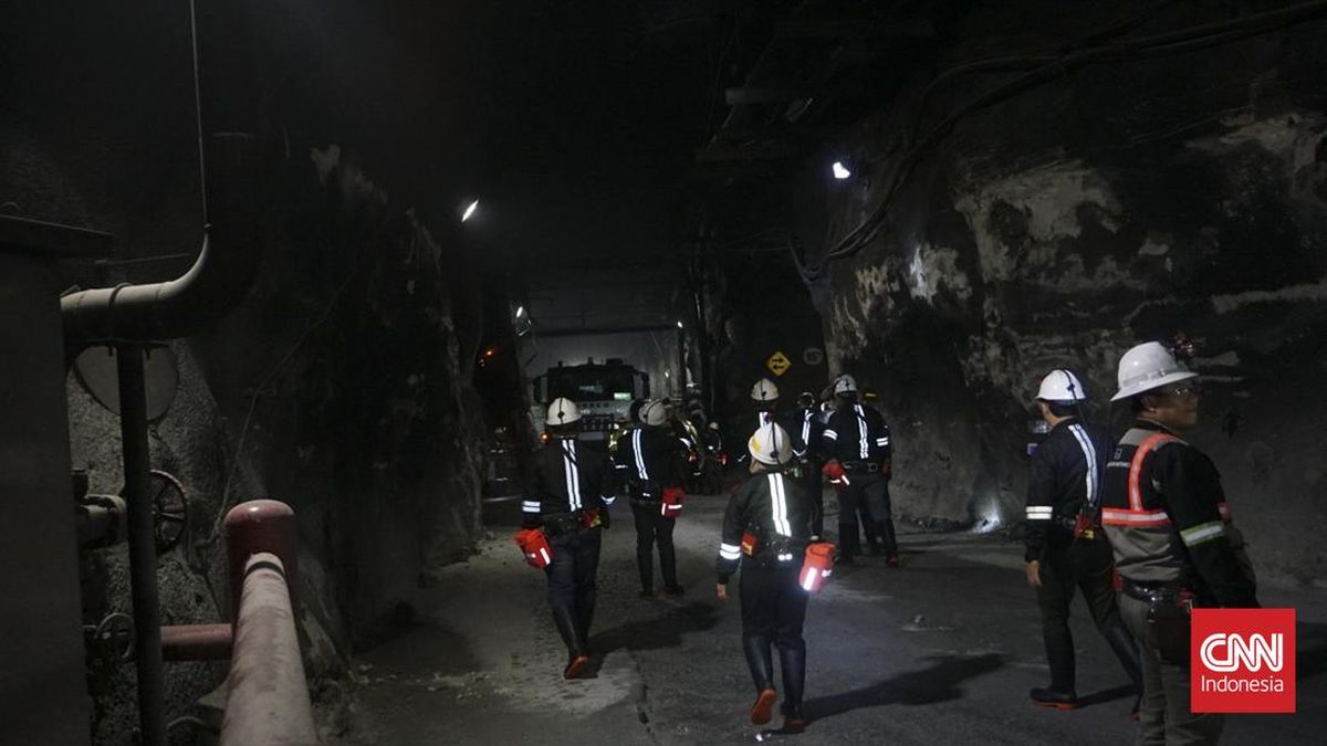 Freeport Masih Berupaya Evakuasi 7 Pekerja yang Terjebak di Tambang