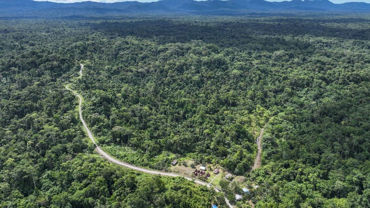 FOTO: Menjaga Hutan Balempe Sumber Kehidupan Suku Moi Papua Barat