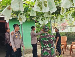 Dukung Program Pangan, Warga Bojonegoro Didorong Budi Daya Buah