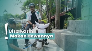 title-image Wisata Edukasi dan Berkuda di BSD, Cocok Ajak Keluarga di Weekend