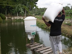 Eks CEO eFishery Gibran Huzaifah Ditangkap, Ini Kasus yang Menjeratnya