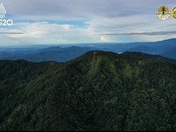 Taman Nasional Kerinci Seblat: Sejarah, Potensi Wisata Alam, dan Flora-Fauna