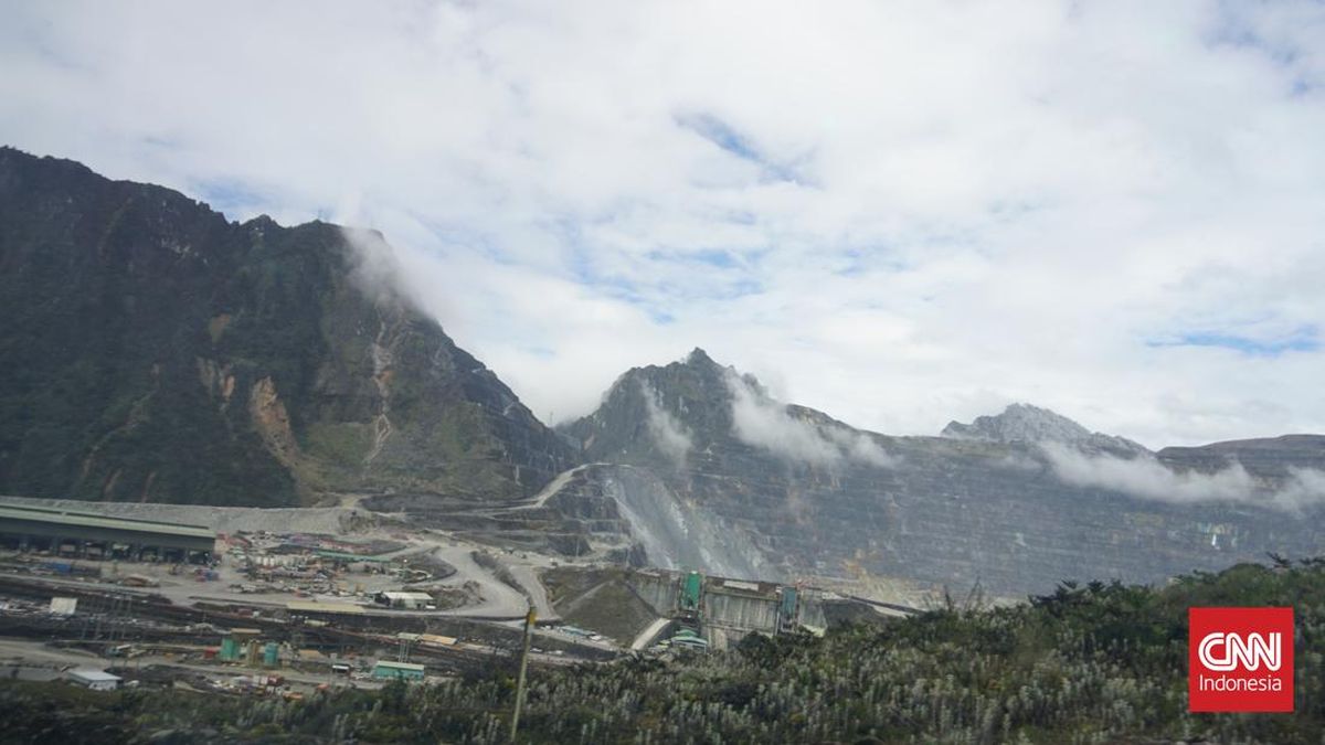 Pemerintah Ingin Tambah 10 Persen Saham di Freeport, Untung atau Rugi?