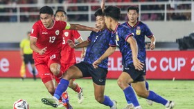 Hasil Piala AFF: Marselino Kartu Merah, Indonesia Ditahan Imbang Laos