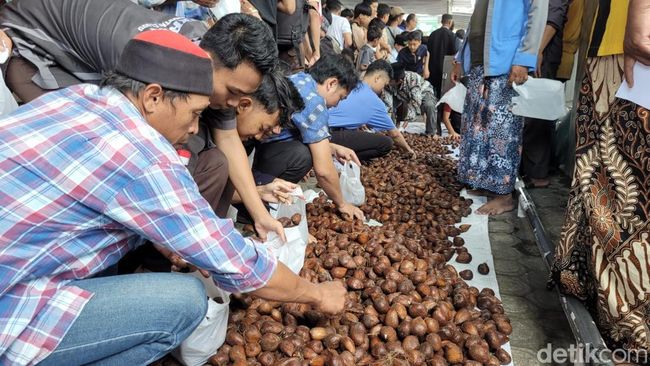 Inilah 7 Manfaat Makan Buah Salak yang Jarang Diketahui