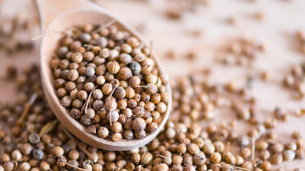 Air Rebusan Ketumbar untuk Mengobati Apa Saja? Ini Manfaatnya