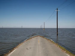Danau Hantu di California Muncul Kembali Setelah 130 Tahun