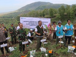 Istimewanya Pohon Gamal yang Ditanam Forkopimda Probolinggo di Rest Area