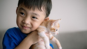 Tips memelihara kucing untuk anak