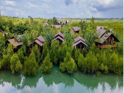 Siap-siap! Bakal Ada Wisata Edukasi Mangrove di PSN Tropical Coastland