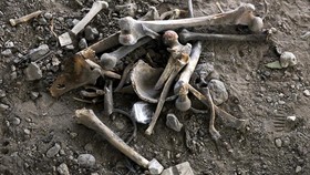 Mayat Wanita Tinggal Tulang Ditemukan di Depok, Ditabur Bubuk Kopi