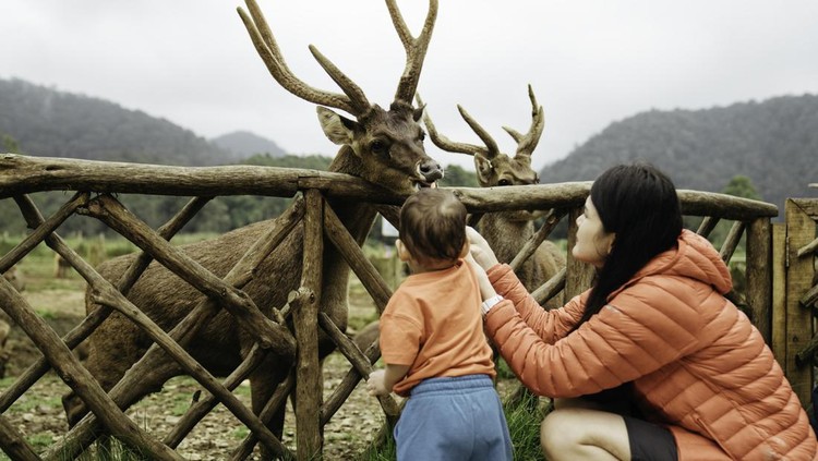 Lembang Park & Zoo Lembang Park & Zoo