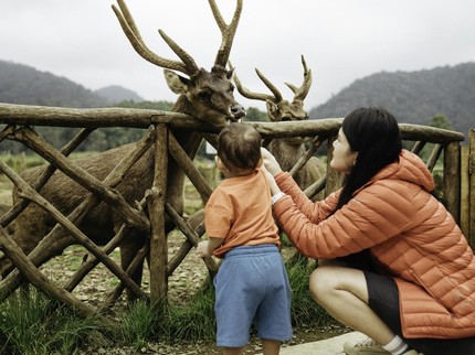 25 Tempat Wisata Anak di Bandung yang Seru Menyenangkan hingga Edukatif