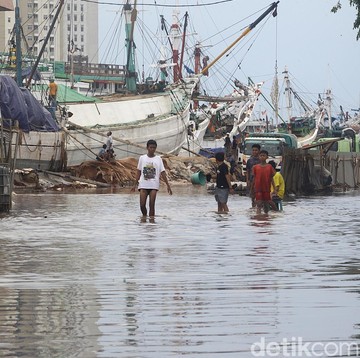Daftar Daerah Berpotensi Banjir Rob, BMKG Beri Imbauan Waspada