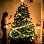 Ternyata Ini Awal Mula Tradisi Memajang dan Menghias Pohon Natal, Sudah Tahu?