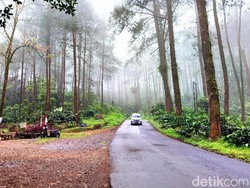 Liburan Tanpa Cuti & Macet: 5 Wisata Alam di Pinggir Kota buat Recharge Otak