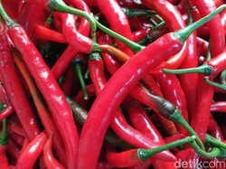 Harga Cabai Merah di Sumut Anjlok Selama 2 Bulan, Termurah Rp 18 Ribu per Kg