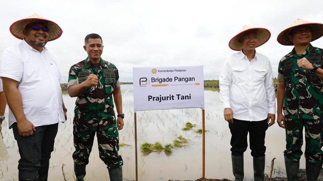 Brigade Pangan dibentuk atas arahan Mentan Andi Amran Sulaiman untuk mengelola total cakupan area 21 ribu hektare di Kapuas, Kalimantan Tengah.
