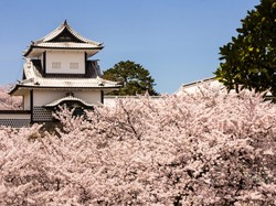 Mata Uang Jepang Memang Melemah, tapi Lonjakan Turisnya Catat Sejarah