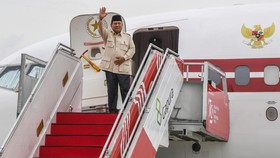 Prabowo ke Mesir, Jadi Kunjungan Perdana Presiden RI Sejak 2013