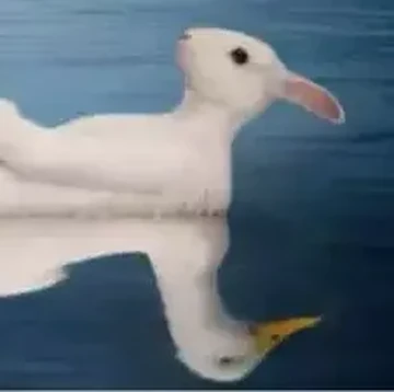 Tes Kepribadian: Gambar Kelinci atau Bebek yang Pertama Kali Kamu Lihat? Ini Artinya...