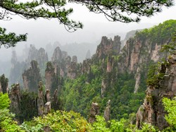 Buset, Puluhan Ton Sampah Dikeruk dari Gua Hutan Avatar