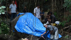 FOTO: Moly Gajah Bali Zoo Dikubur Usai Mati Terseret Arus Sungai