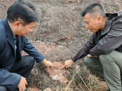 Turis Hong Kong Temukan Fosil Telur Dinosaurus Langka