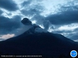 Gunung Lewotobi Meletus Pagi Ini, Semburkan Abu Setinggi 300 Meter