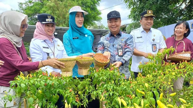 Pj Gubernur DKI Jakarta, Teguh Setyabudi menyebut panen raya urban farming di Cakung, Jakarta Timur merupakan langkah strategis untuk menjaga stabilitas harga.