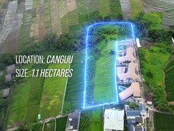 Heboh Warga Asing Klaim Punya Lahan 1,1 Ha di Bali, Mau Bikin Klub Malam
