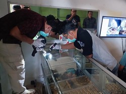 Rampok Satroni Toko Emas Banyumas di Siang Bolong, Gondol Perhiasan 279 Gram
