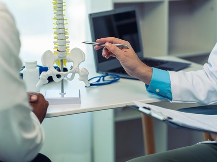 Fungsi Testis sebagai Organ Reproduksi dan Risiko yang Menyertainya