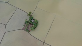 FOTO: Ribuan Hektare Sawah Terendam Banjir di Banten