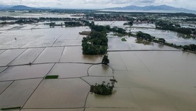 Bulog Ungkap Stok Beras di Aceh-Sumut Usai 70 Ribu Ha Sawah Terendam