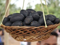 5 Buah Unik Khas Pulau Kalimantan, Sudah Pernah Coba?