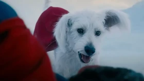 Dikritik, Ada Adegan Krypto Dihapus dari Superman (2025)