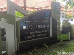 Kantor Dinas Pertanian Probolinggo Digeledah Terkait Kasus Vaksinasi PMK