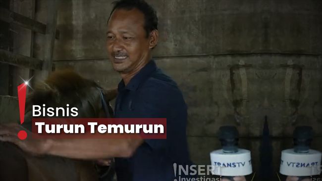 Cerita Para Kusir di Kampung Delman yang Merawat Puluhan Kuda Nenek Moyang