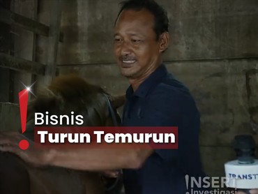 Cerita Para Kusir di Kampung Delman yang Merawat Puluhan Kuda Nenek Moyang