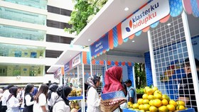 Pemberdayaan BRI, Petani Jeruk di Bengkulu Jangkau Pasar Lebih Luas