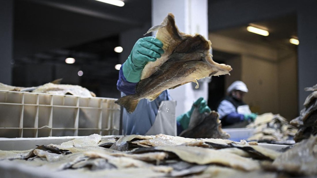 FOTO: Ikan Cod Asin Jadi Sajian Natal Khas Portugal