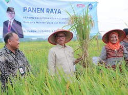 Mendes Bicara Peran BUMDes Serap Tenaga Kerja di Desa