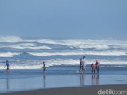50 Wisatawan Tersengat Ubur-ubur Pantai Parangtritis