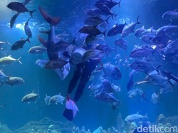 4 Rekomendasi Destinasi Wisata Edukasi di Pangandaran