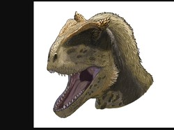 Spesies Dinosaurus dengan Alis Aneh Ditemukan di Kirgistan