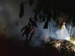 Kandang di Ciamis Terbakar, 1.100 Anak Ayam Gosong