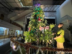 Gereja di Surabaya Susun Aneka Tanaman Jadi Pohon Natal Ekologi