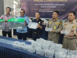 Bea Cukai Juanda Gagalkan Ekspor 39 Satwa ke Hong Kong